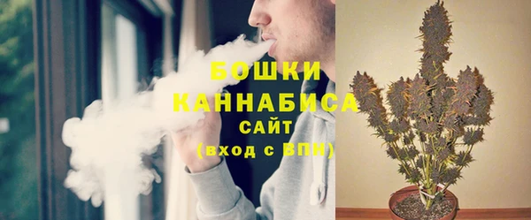 дурь Бородино