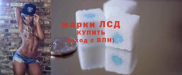 сатива Верея