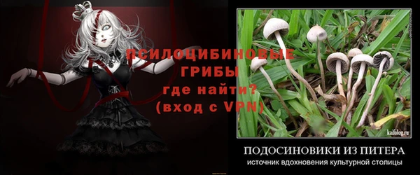 трава Бронницы
