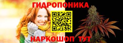 сатива Бузулук