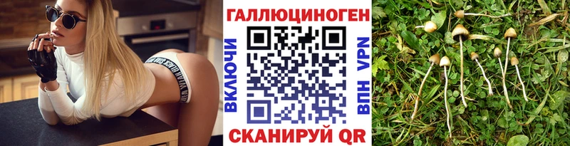 Псилоцибиновые грибы GOLDEN TEACHER купить сайты Вичуга