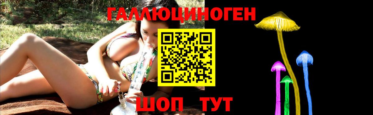 купить наркотик  Вход с VPN  Вичуга  Псилоцибиновые грибы MAGIC MUSHROOMS 